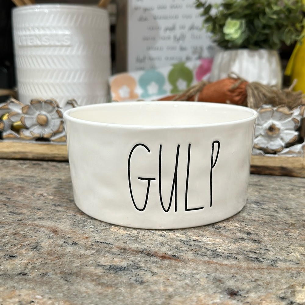 Gulp Rae Dunn Pet Dog or Cat Medium Bowl